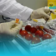 Algérie : Une nouvelle coopération renforce la sécurité sanitaire des consommateurs