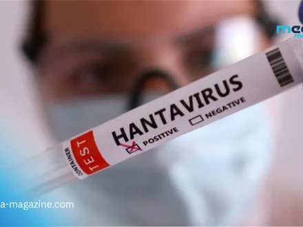 Hantavirus : l’OMS confirme une souche transmissible entre humains